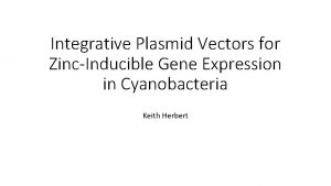 Integrative Plasmid Vectors for ZincInducible Gene Expression in