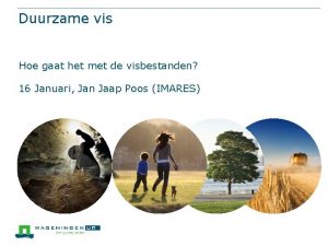 Duurzame vis Hoe gaat het met de visbestanden