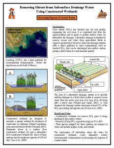 Removing Nitrate from Subsurface Drainage Water Using Constructed