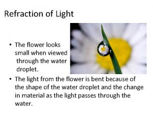 Refraction of Light The flower looks small when