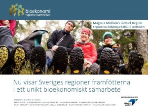 Magnus Matisons Biofuel Regionernas Miljdagar Lule 18 September