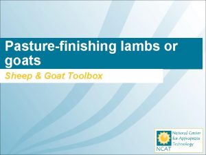 Pasturefinishing lambs or goats Sheep Goat Toolbox What