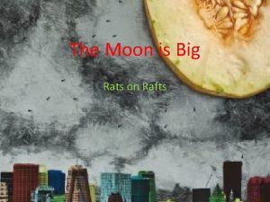 The Moon is Big Rats on Rafts Recensie