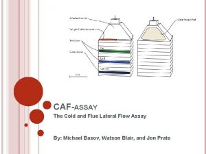 CAFASSAY The Cold and Flue Lateral Flow Assay