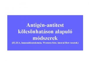 Antignantitest klcsnhatson alapul mdszerek ELISA immunhisztokmia Western blot