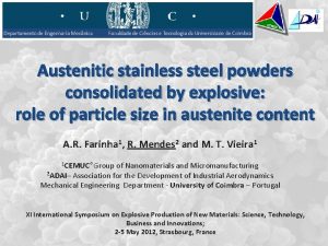 Austenitic stainless steel powders consolidated by explosive role