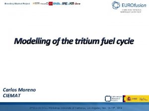 Modelling of the tritium fuel cycle Carlos Moreno