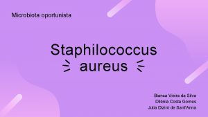 Microbiota oportunista Staphilococcus aureus Bianca Vieira da Silva