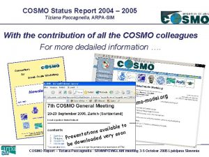 COSMO Status Report 2004 2005 Tiziana Paccagnella ARPASIM