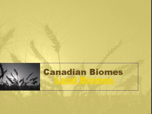 Canadian Biomes Land Biomes What is a Biome