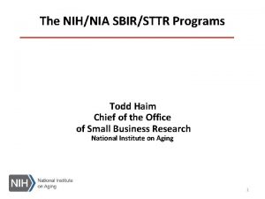 The NIHNIA SBIRSTTR Programs Todd Haim Chief of