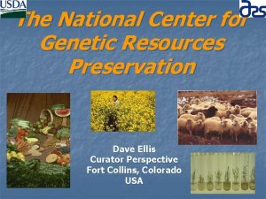 The National Center for Genetic Resources Preservation Dave