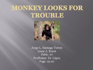 MONKEY LOOKS FOR TROUBLE Jorge L Santiago Torres