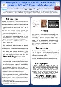 Investigation of Malignant Catarrhal Fever in cattle comparing