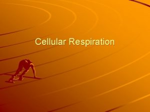 Cellular Respiration Storing and Releasing Energy During photosynthesis