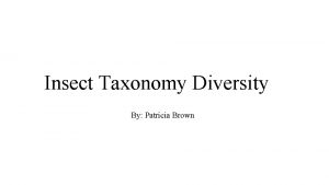 Insect Taxonomy Diversity By Patricia Brown Insect Orders