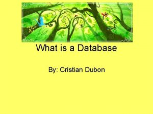 What is a Database By Cristian Dubon What