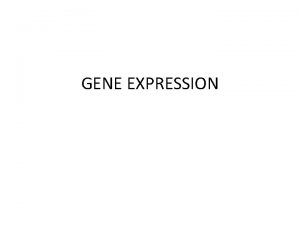 GENE EXPRESSION Gene expression A process by which