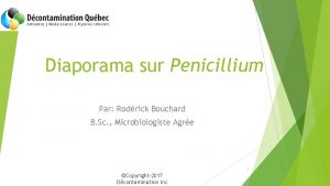 Diaporama sur Penicillium Par Rodrick Bouchard B Sc