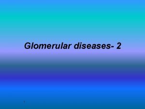 Glomerular diseases 2 1 Glomerular diseases 2 Diseases