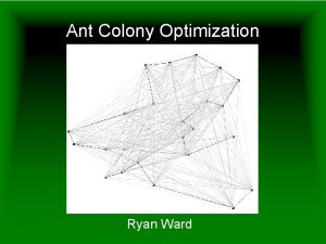 Ant Colony Optimization Ryan Ward Overview Ant Colony