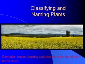 Classifying and Naming Plants Reminder student learning activities