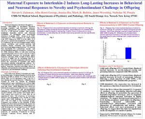 Maternal Exposure to Interleukin2 Induces LongLasting Increases in