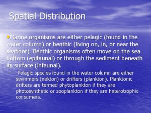 Spatial Distribution Marine organisms are either pelagic found
