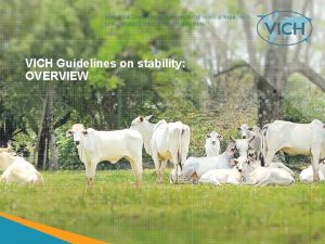 VICH Guidelines on stability OVERVIEW Disclaimer These slides