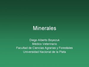 Minerales Diego Alberto Boyezuk Mdico Veterinario Facultad de