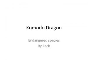 Komodo Dragon Endangered species By Zach Where does