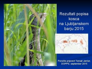 Rezultati popisa kosca na Ljubljanskem barju 2015 Poroilo