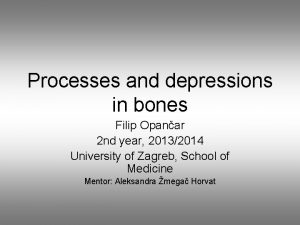 Processes and depressions in bones Filip Opanar 2