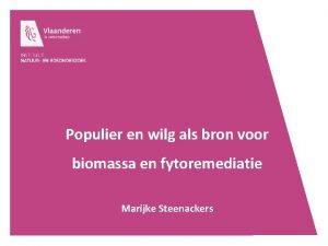 Populier en wilg als bron voor biomassa en