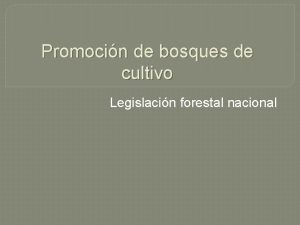 Promocin de bosques de cultivo Legislacin forestal nacional