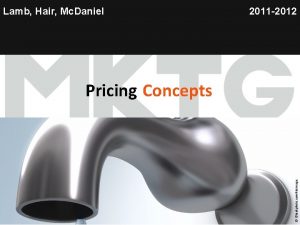 Lamb Hair Mc Daniel 2011 2012 Chapter 19