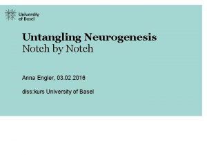 Untangling Neurogenesis Notch by Notch Anna Engler 03