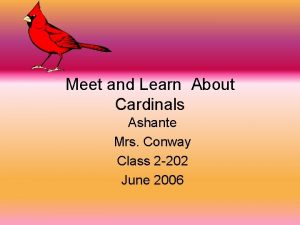 Meet and Learn About Cardinals Ashante Mrs Conway