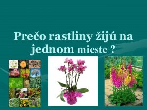 Preo rastliny ij na jednom mieste Vznam rastln