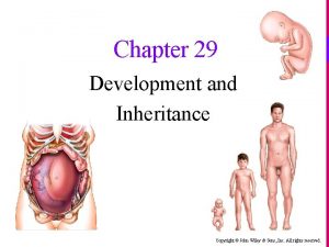 Chapter 29 Development and Inheritance Copyright John Wiley