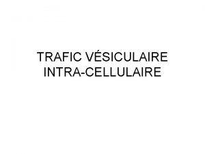 TRAFIC VSICULAIRE INTRACELLULAIRE TRAFIC VSICULAIRE INTRACELLULAIRE I III