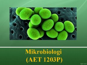 Mikrobiologi AET 1203 P Dosen Pengampu 1 2