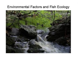 Environmental Factors and Fish Ecology Environmental factors affecting