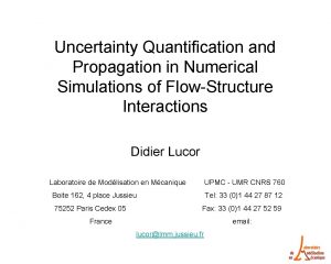 Uncertainty Quantification and Propagation in Numerical Simulations of