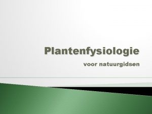 Plantenfysiologie voor natuurgidsen Planten de basis van het