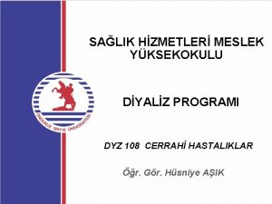 SALIK HZMETLER MESLEK YKSEKOKULU DYALZ PROGRAMI DYZ 108