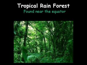Tropical Rain Forest Found near the equator Tropical