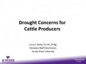 Drought Concerns for Cattle Producers Larry C Hollis