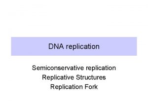 DNA replication Semiconservative replication Replicative Structures Replication Fork