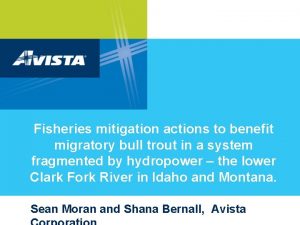 Fisheries mitigation actions to benefit migratory bull trout